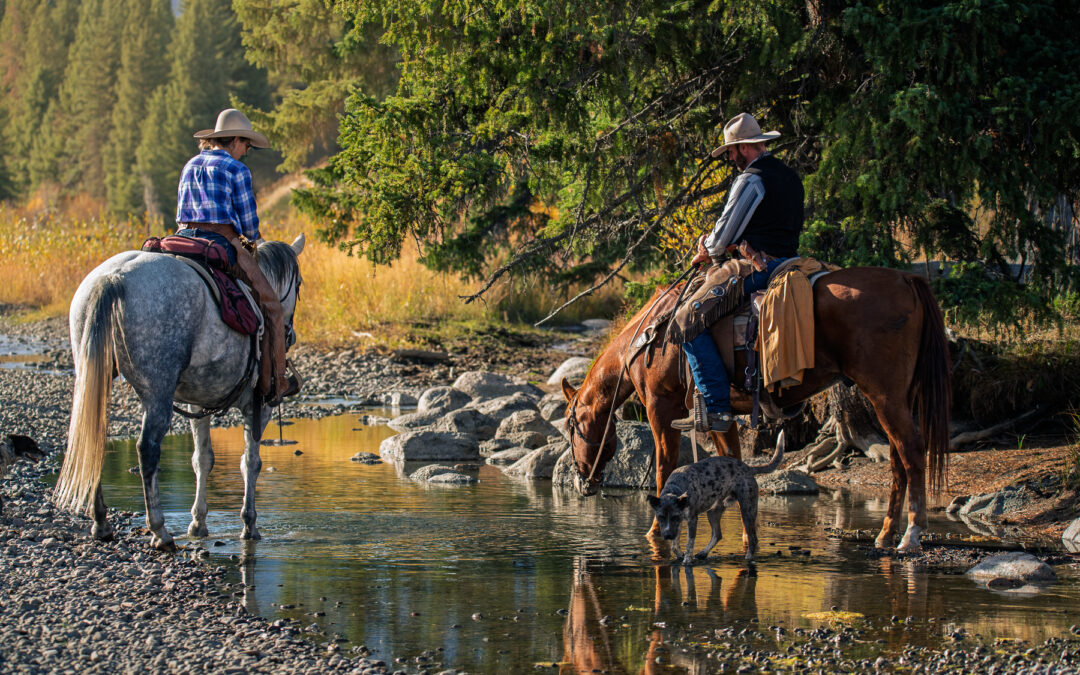 We Were Cruising Down The Road In Wyoming And Came Across….